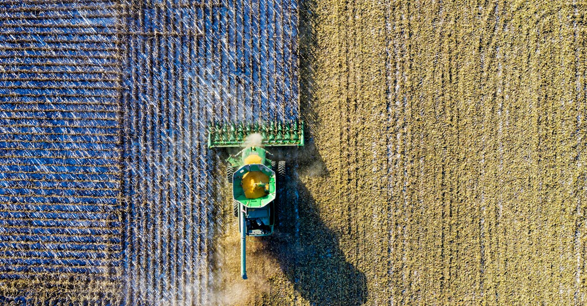 Aerial drone shot of a combine harvester working in a cornfield during harvest season in rural Minnesota.